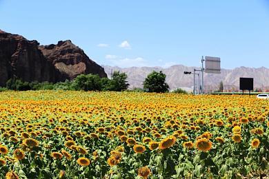 《怪物猎人：荒野》同捆PS5包2月28日发售 游戏白送